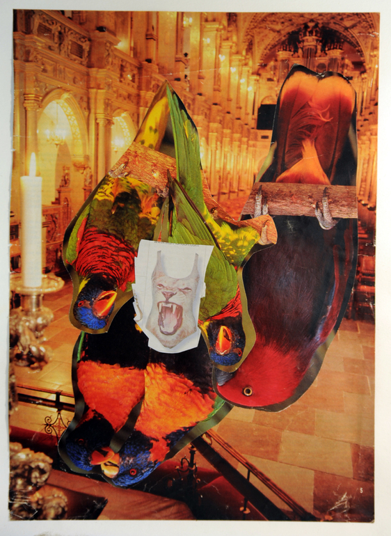 Sacred Animals, Tim Ridley