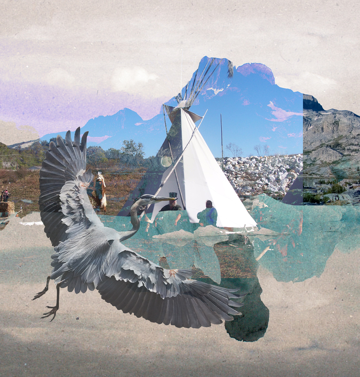 Sielulintu, Rosanna Webster