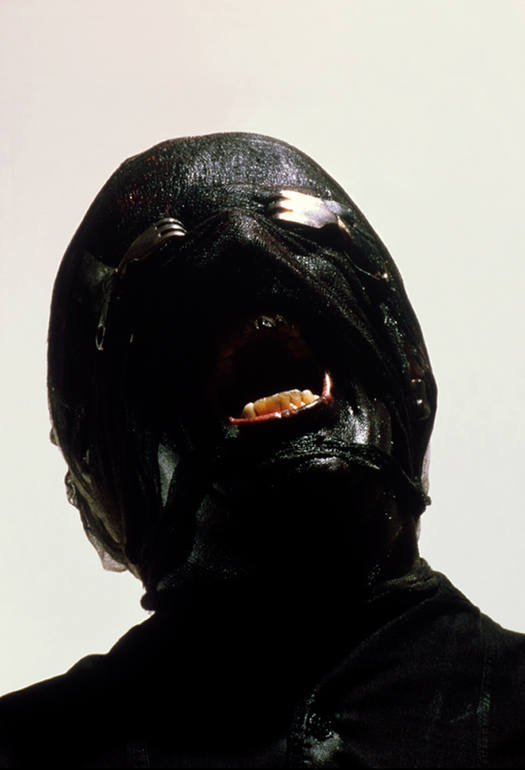 Black Mirror V, Gottfried Helnwein