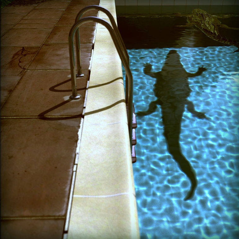 David's Pool 08b_08, Rene Bui