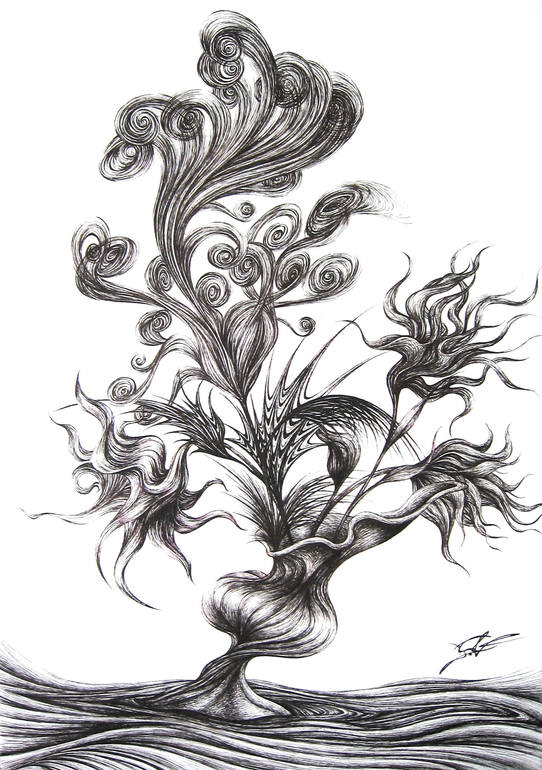 Surreal Flowers, Giorgio Vaselli