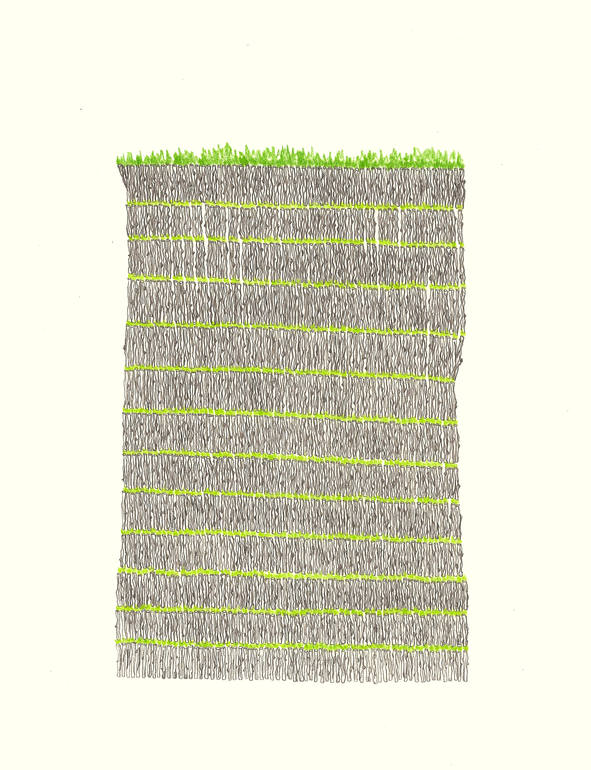Tree Wall, Elisa Sandoval