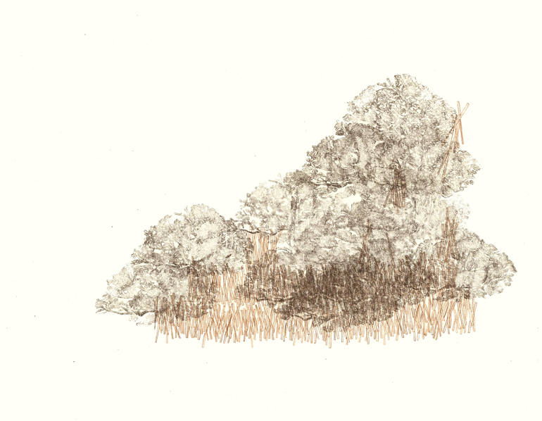 Untitled (Cloudy), Elisa Sandoval