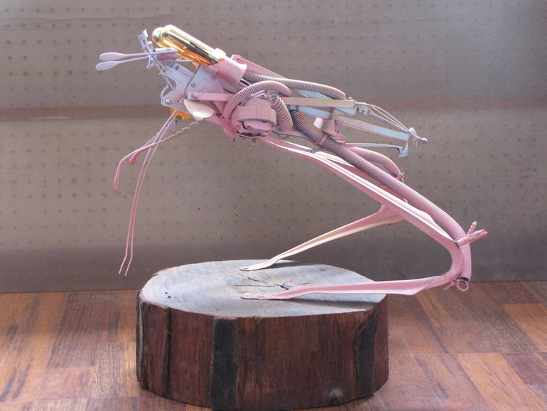 Grasshopper, Natalie Mandel