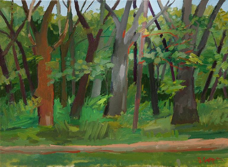 Wolf Creek Trail, David Cooper