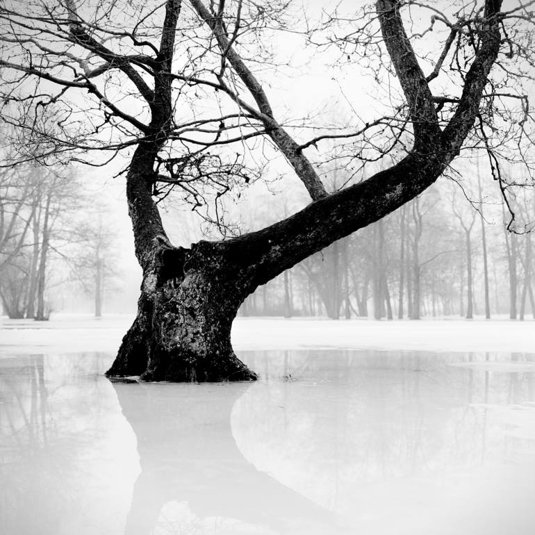 Reflection, Andrey Kulpin