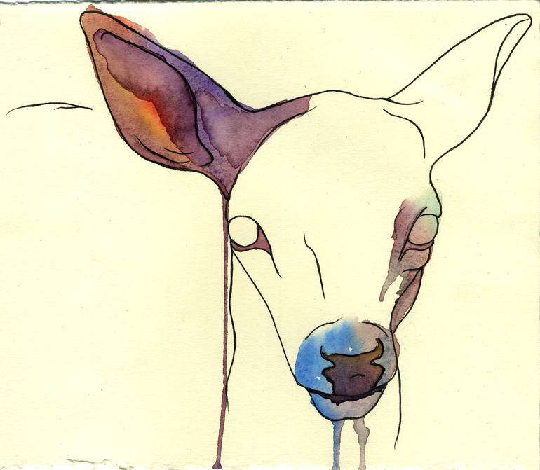 Drain X, Hannah Ward