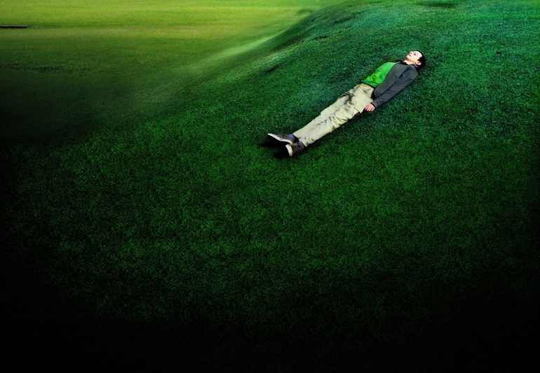 Untitle | from Mimicry serie, Alberto Oliveira