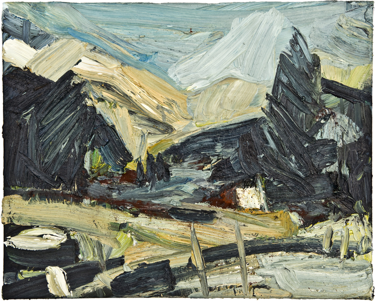 Otago Landscape, Dave Gibbons