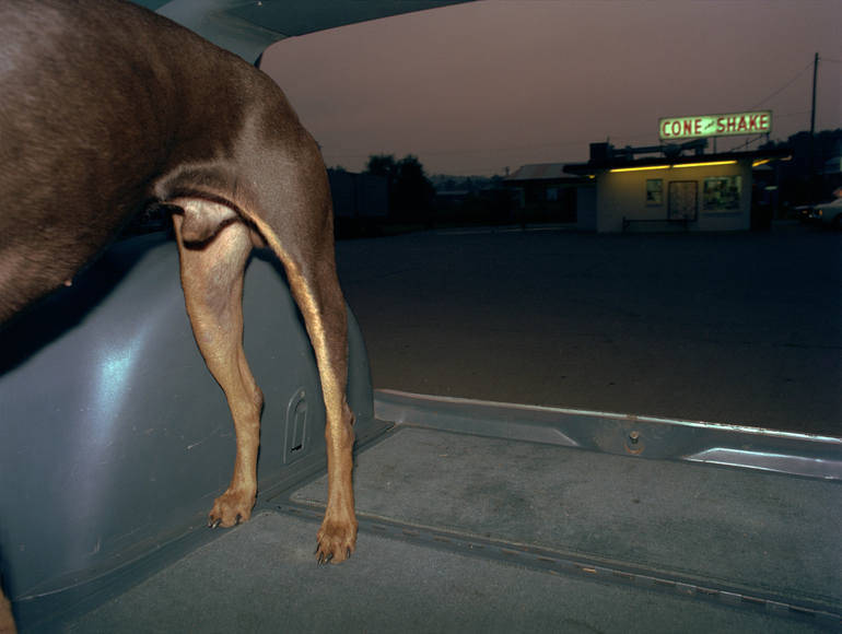 Cone and Shake, Michael Northrup