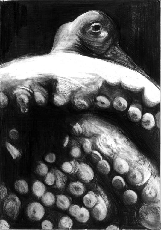 OCTOPUS, Mehmet Dere