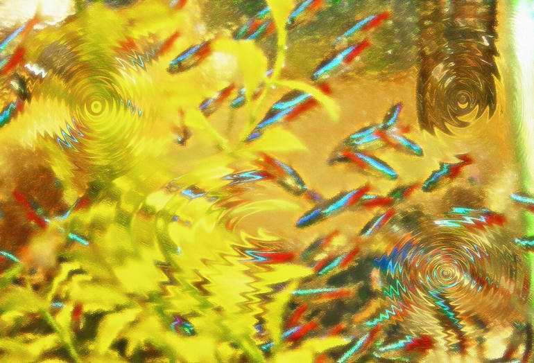 Aquarium Art 7, Steve Ohlsen