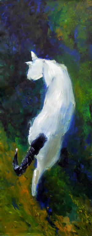 white Cat, Maksim Rybalko