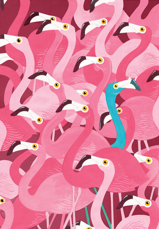 Flamingoes, Adam Fisher