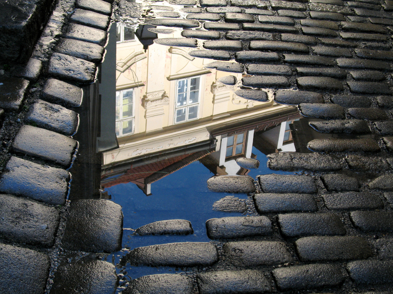 After the rain, Tom Mick