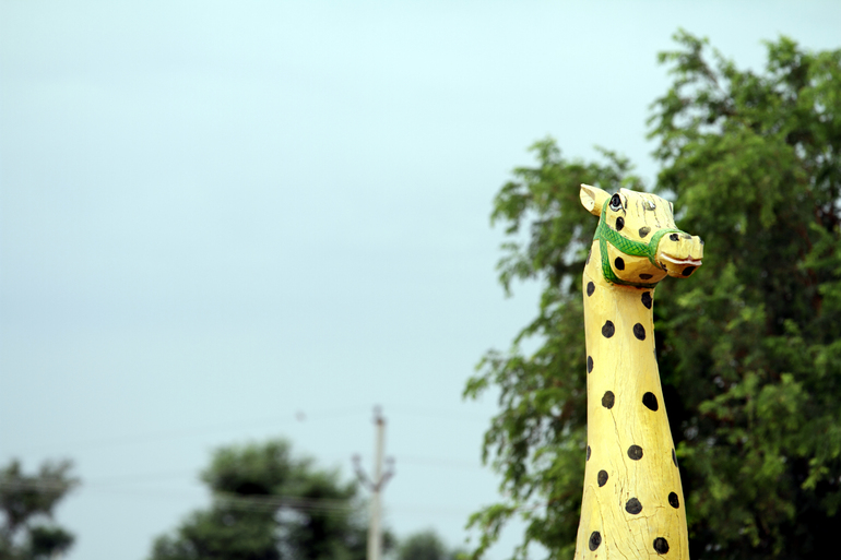 Giraffe , John Bland
