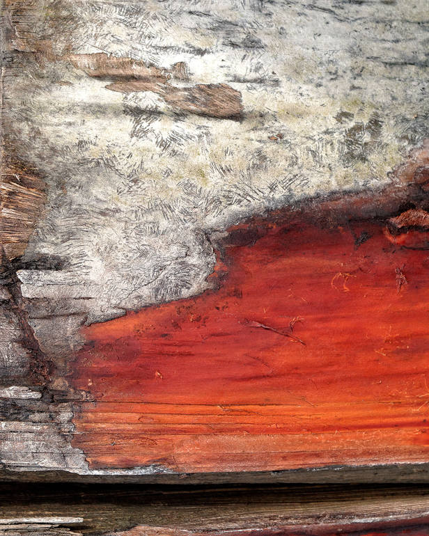 FIREWOOD, Gillian Lindsay