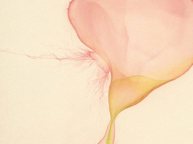 Perhaps time is the keeper of distance and loss, Annie Lin