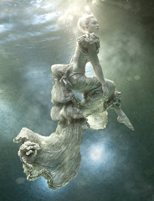The old grey teacher (edition of 10 + 2 artists proofs)), Zena Holloway