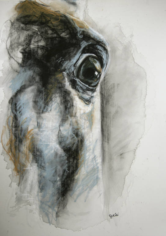 Regard X, Benedicte Gele