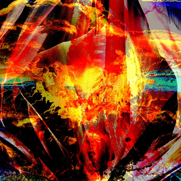 'Passion', Nora Doherty