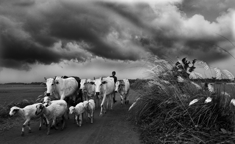 monsoon1, Arup Ghosh