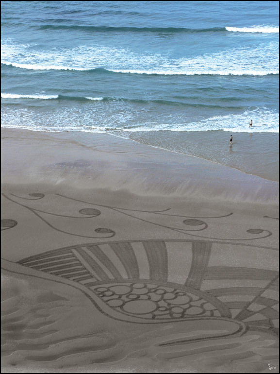 Coquillage Paon, Samuel Dougados