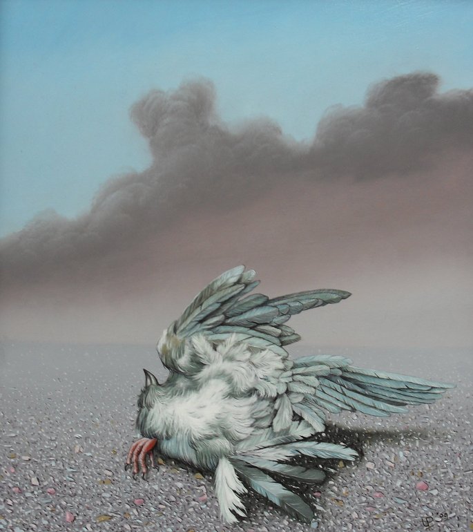 dead bird,seagull, Uko Post