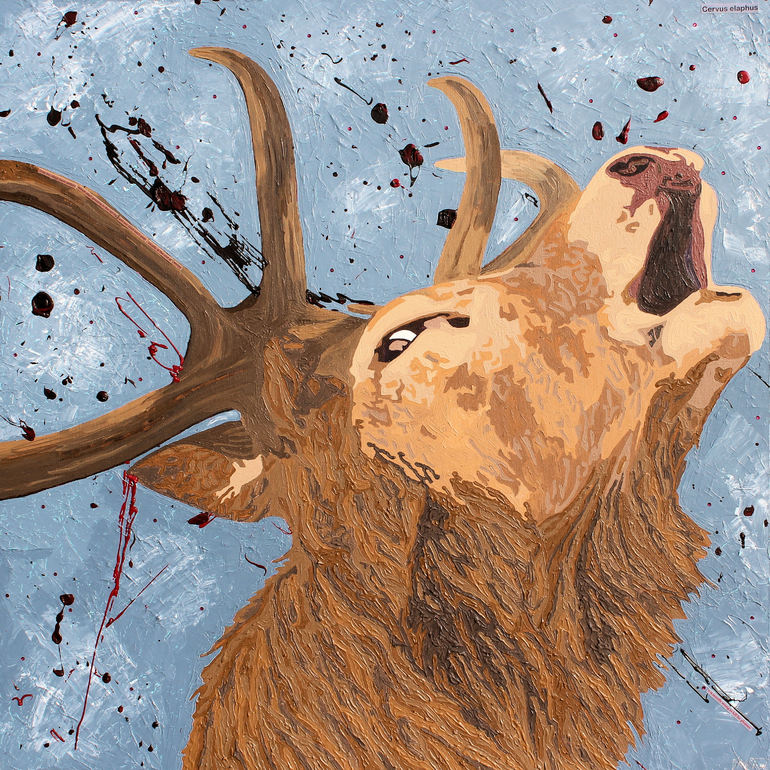 Red Deer Stag , Claire Milner