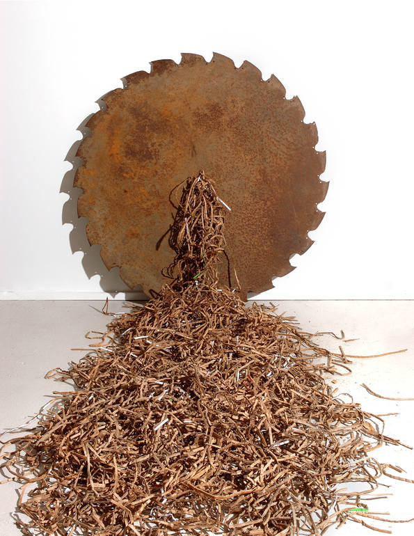 Deforestation, Betty McGeehan