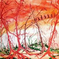 Yvonne Morrish