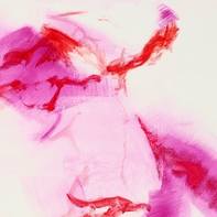 Michel Debray