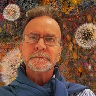 David Mangin