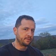 Mikica Mitrovic