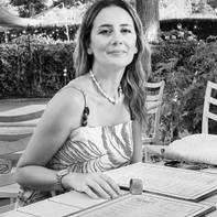 Ayse Sirin Budak