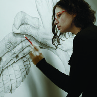 Dana Harel