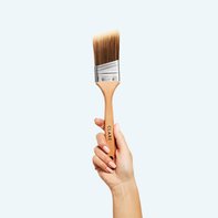 Brown Brush