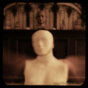 X Cathedra X Cathedra
