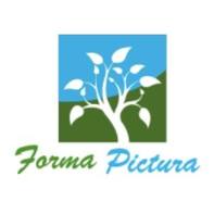 Forma Pictura