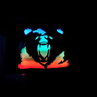 Night Bear Foto Nbf