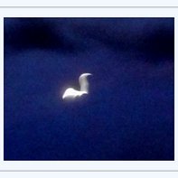 Helena BuršA PetřInová