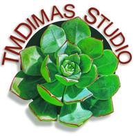 Tmdimas Studio