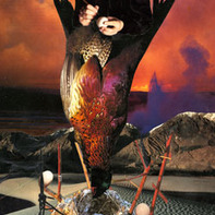 Marsha Connell