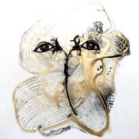 Erika Hibbert