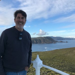 Paul Rees | Saatchi Art