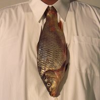 Ghasan Saaid