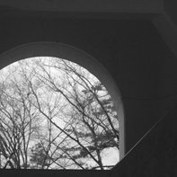 Kazu Photography