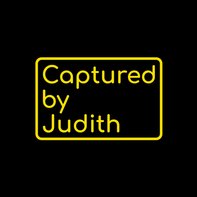 Judith Van Gestel
