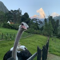 Munjumbo Clinky