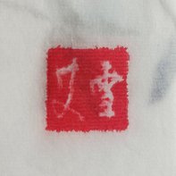 Ai Xue 艾雪
